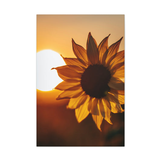 Sun & Sunflower-Canvas Gallery Wraps