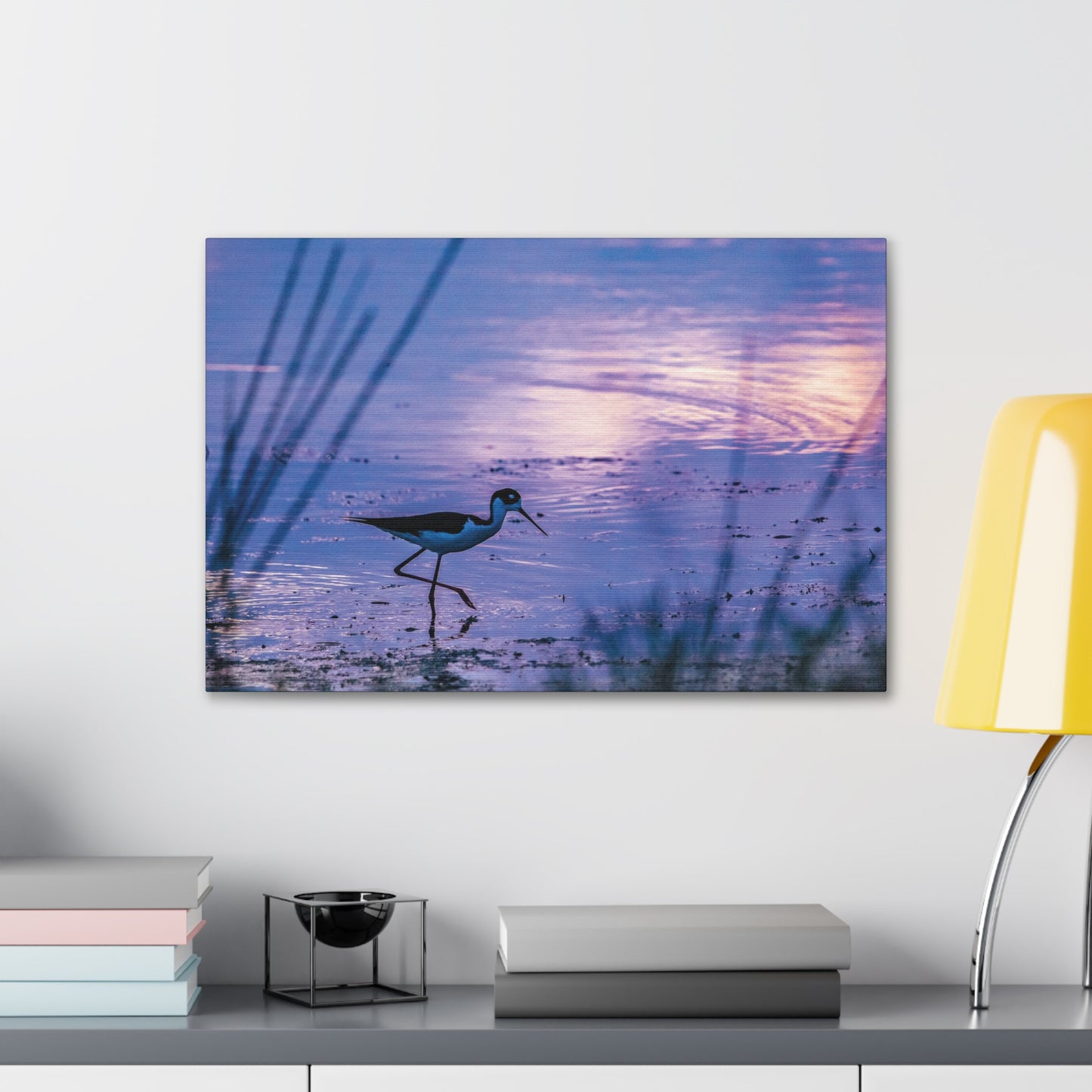 Black-Necked Stilt Canvas Gallery Wraps