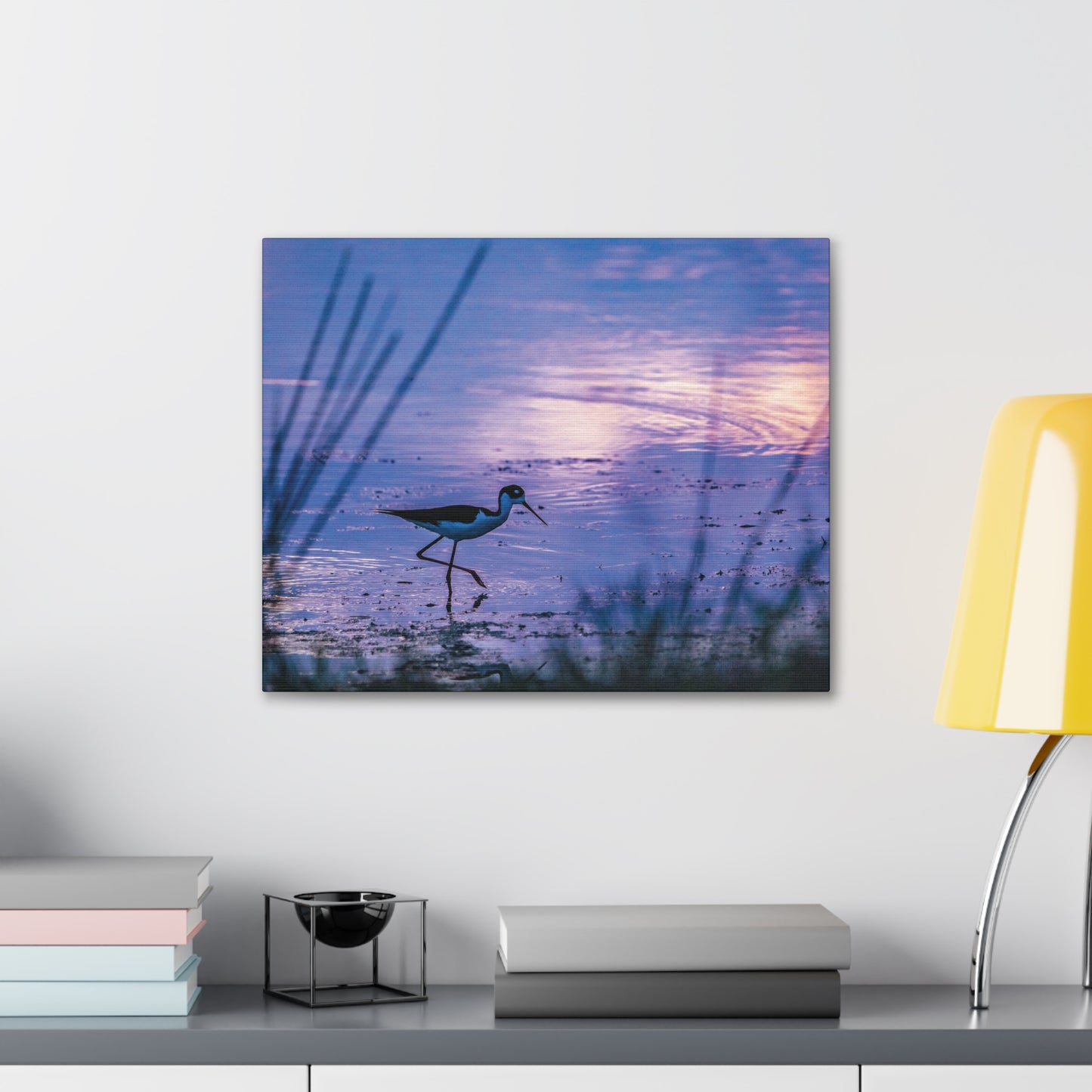 Black-Necked Stilt Canvas Gallery Wraps