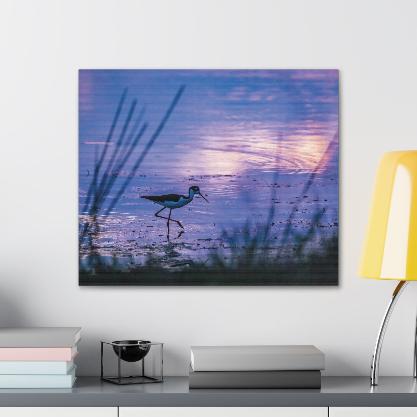 Black-Necked Stilt Canvas Gallery Wraps