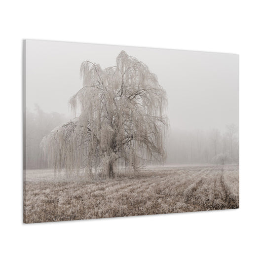 Copy of Copy of Copy of Copy of Canvas Gallery Wraps