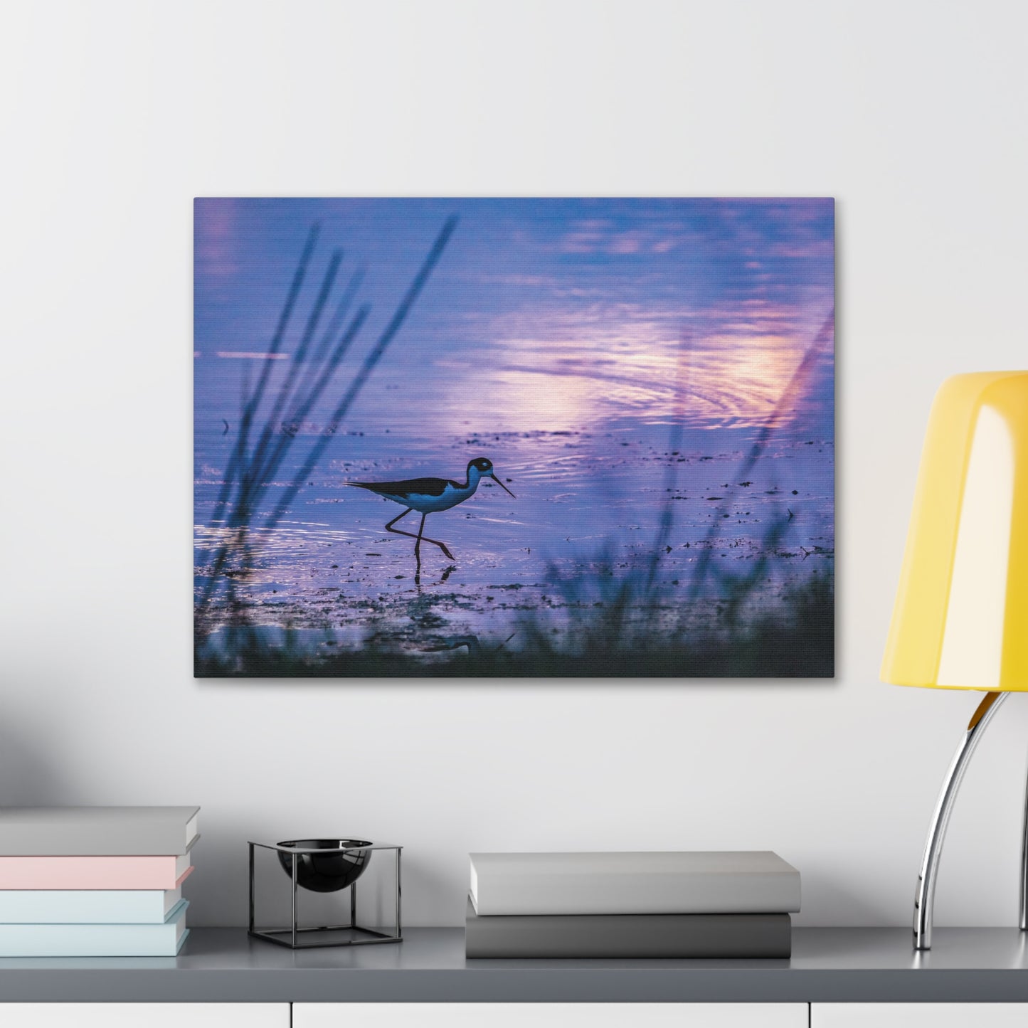 Black-Necked Stilt Canvas Gallery Wraps