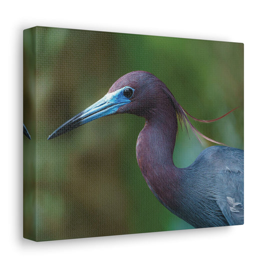 Copy of Copy of Copy of Canvas Gallery Wraps