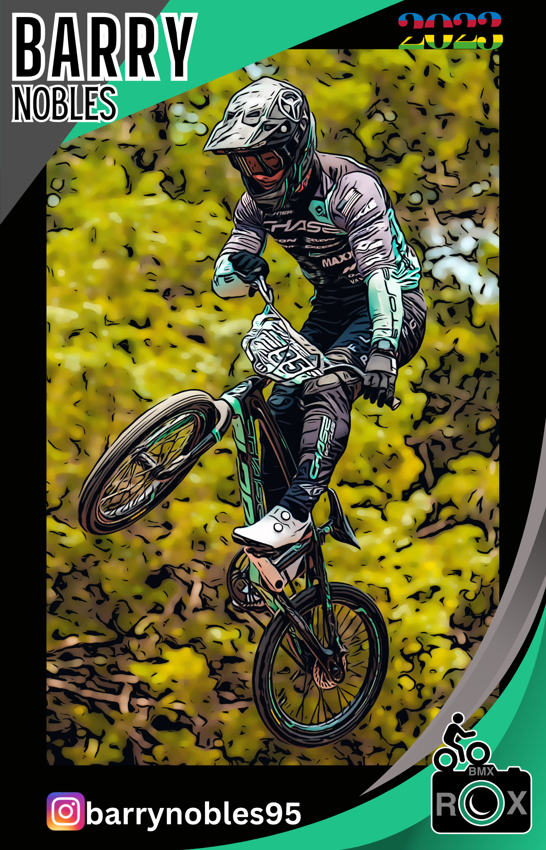 BMX ROX Trading Card Stickers - 10 Surprise Mixed Cards from the “Who’s Who Collection”