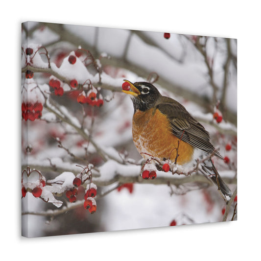 Canvas Gallery Wraps