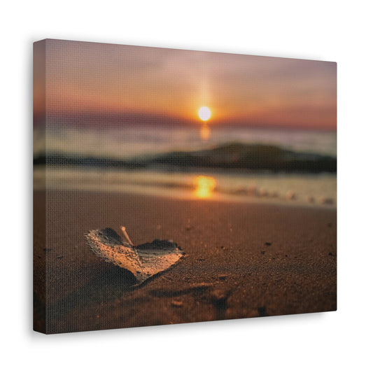 Copy of Copy of Copy of Copy of Copy of Copy of Canvas Gallery Wraps