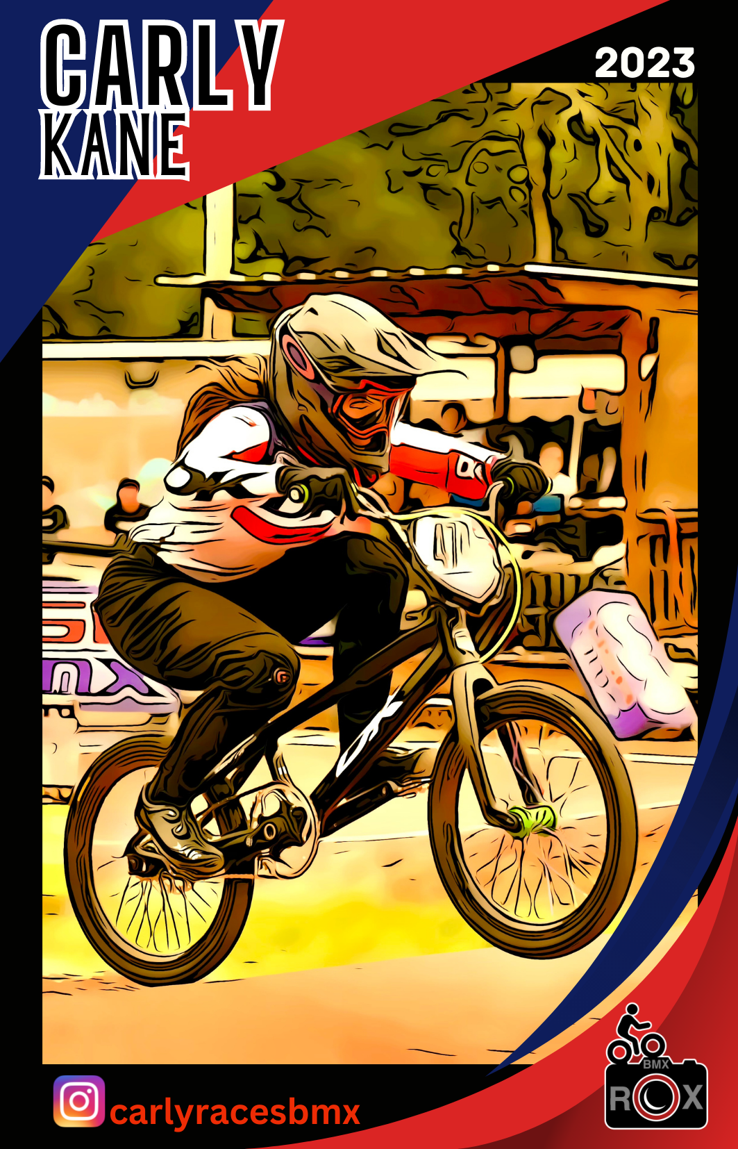 BMX ROX Trading Card Stickers - 10 Surprise Mixed Cards from the “Who’s Who Collection”