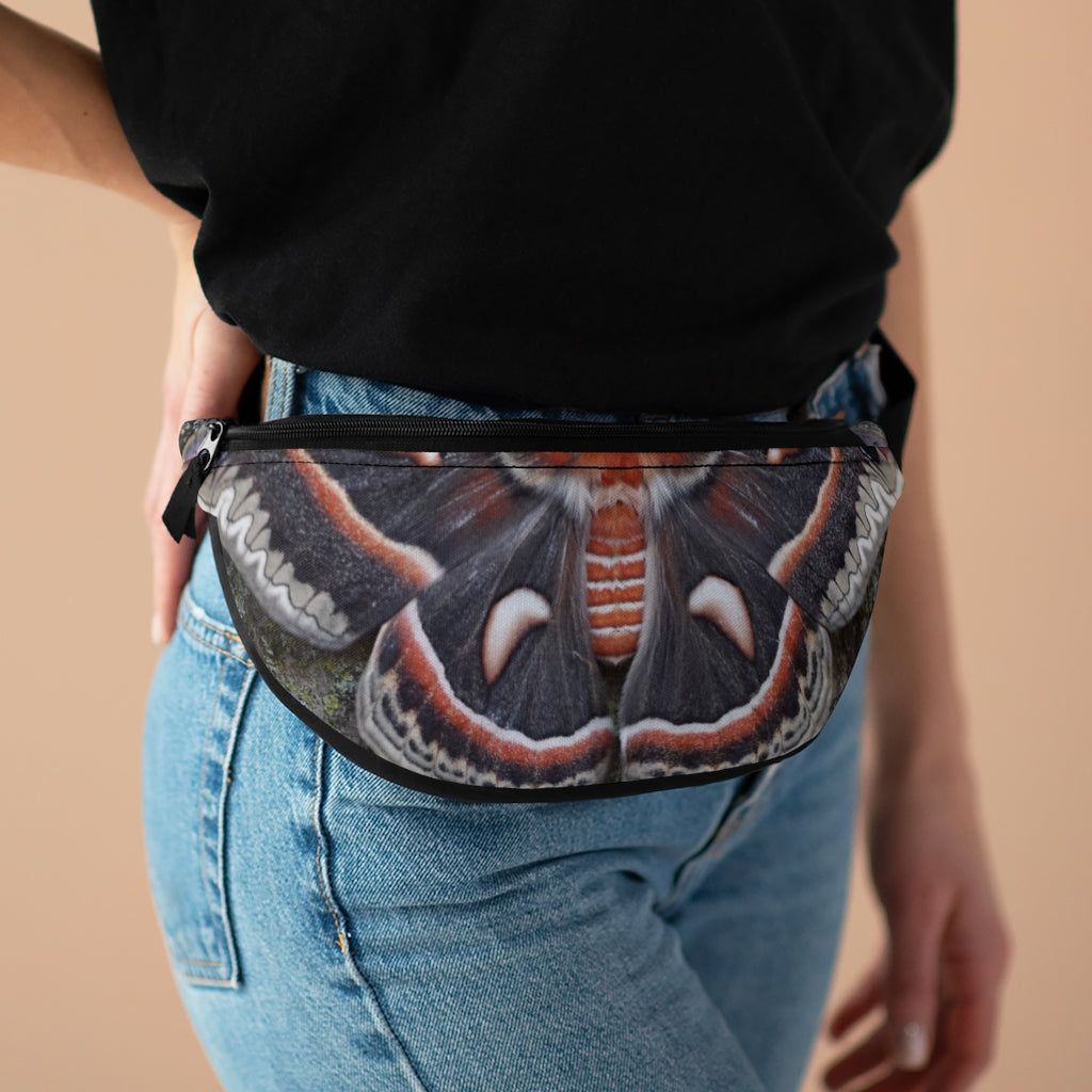 Fanny Pack - Cecropia Moth