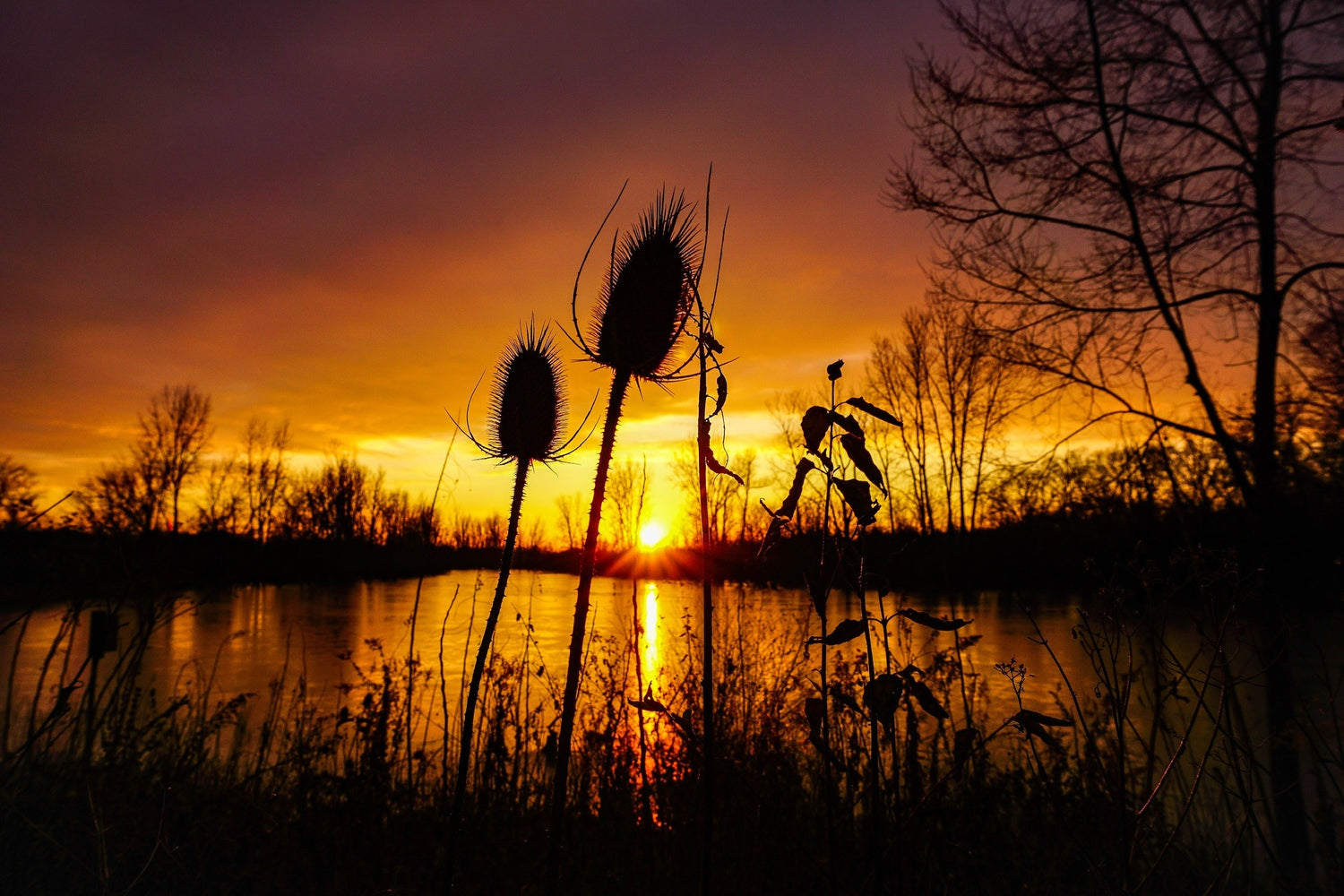 Landscape & Sunset Collection