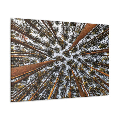 Canvas Gallery Wrap - The Spot at Oak Openings