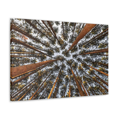 Canvas Gallery Wrap - The Spot at Oak Openings