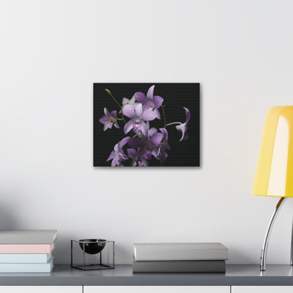 Copy of Copy of Copy of Canvas Gallery Wraps