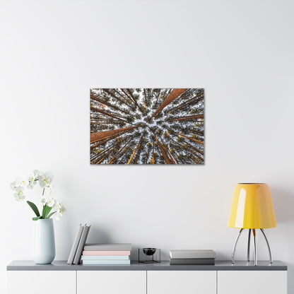 Canvas Gallery Wrap - The Spot at Oak Openings