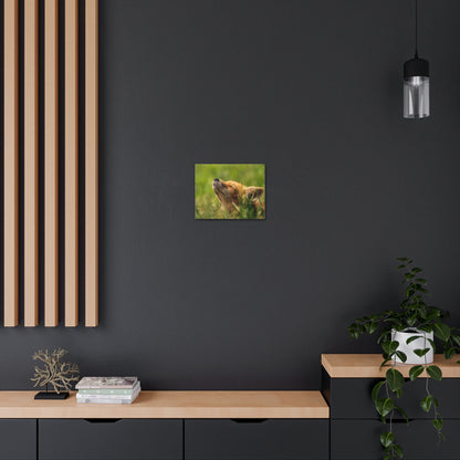 Copy of Copy of Canvas Gallery Wraps
