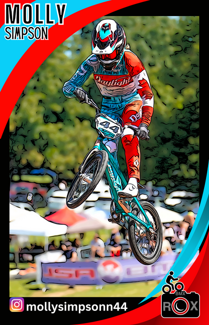 STOCKING STUFFER SALE!!! BMX ROX Trading Card Stickers - 20 Surprise Mixed Cards from the “Who’s Who Collection” or type in comments your choices